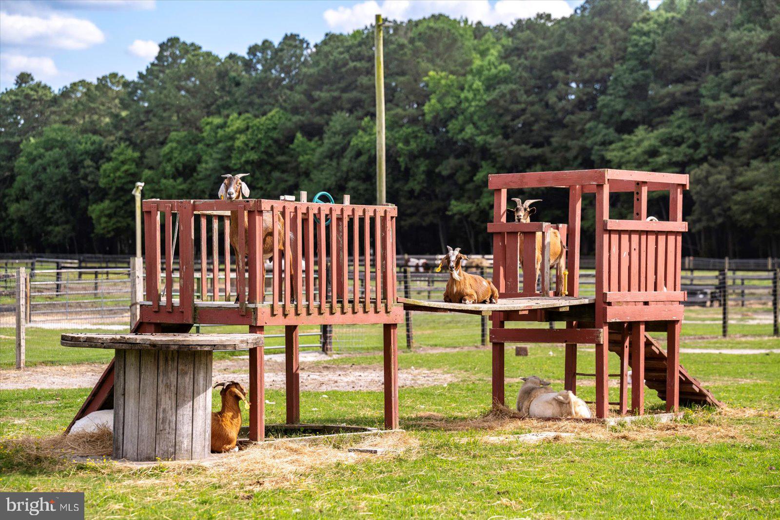 NONE AVAILABLE - Farm