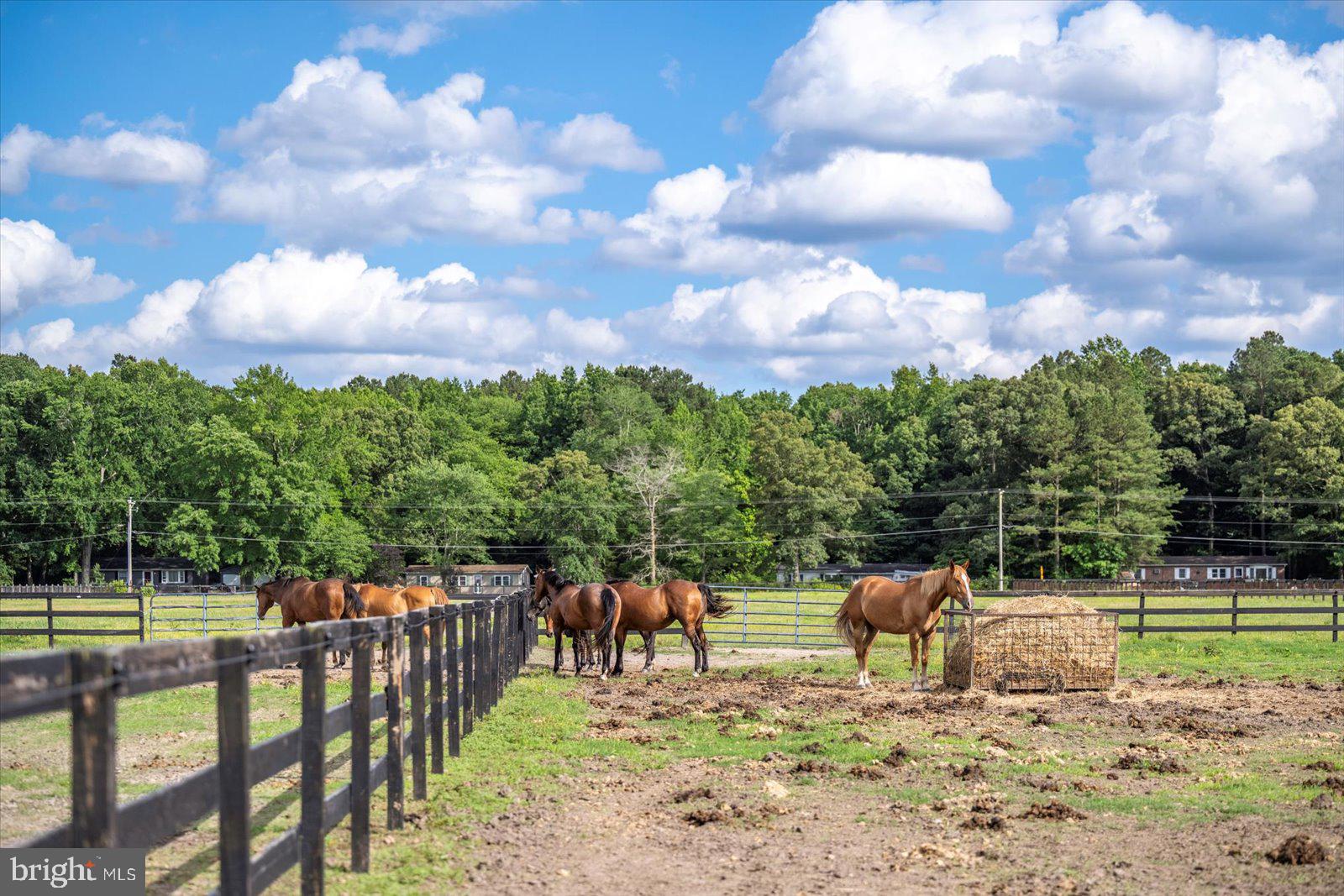 NONE AVAILABLE - Farm