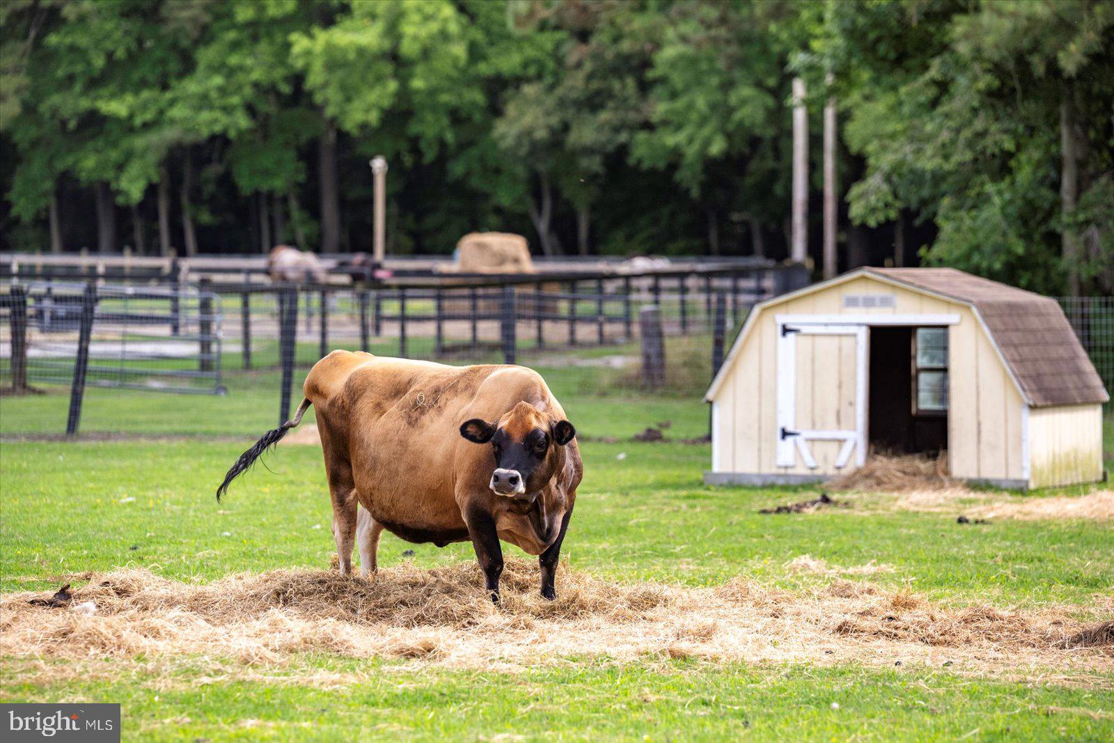 NONE AVAILABLE - Farm