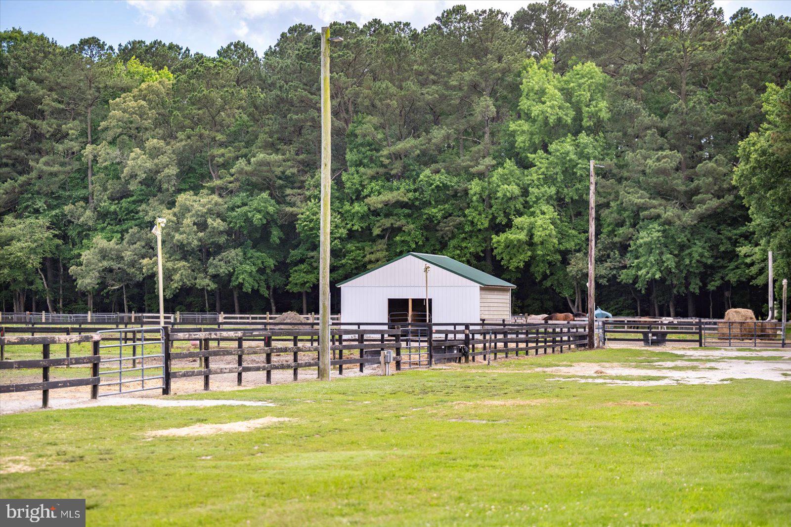 NONE AVAILABLE - Farm