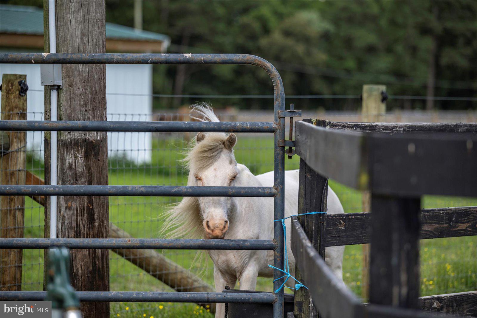 NONE AVAILABLE - Farm