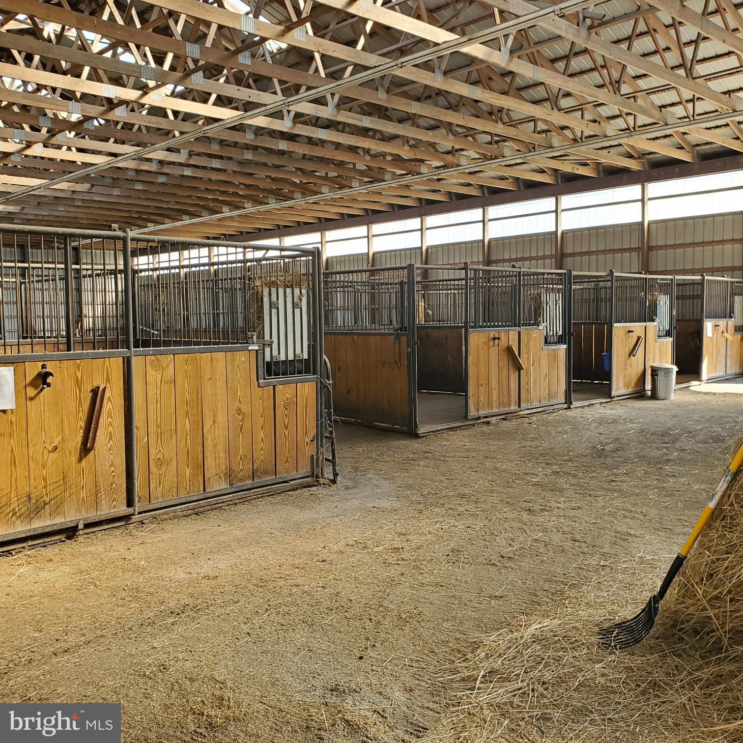 NONE AVAILABLE - Farm