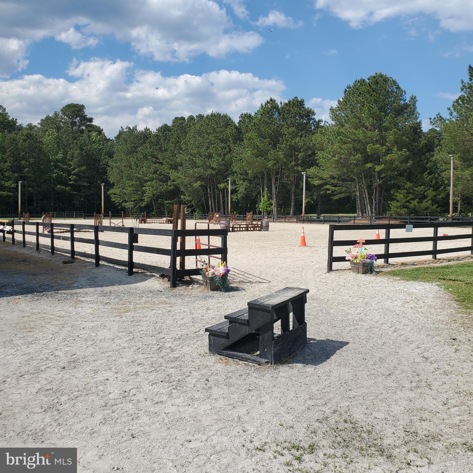 NONE AVAILABLE - Farm