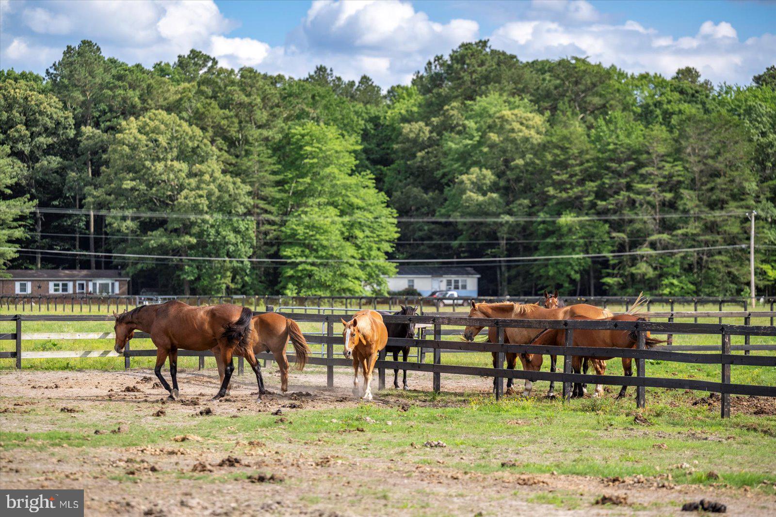 NONE AVAILABLE - Farm