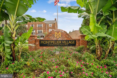 4421 ROMLON STREET 1 BELTSVILLE MD 20705
