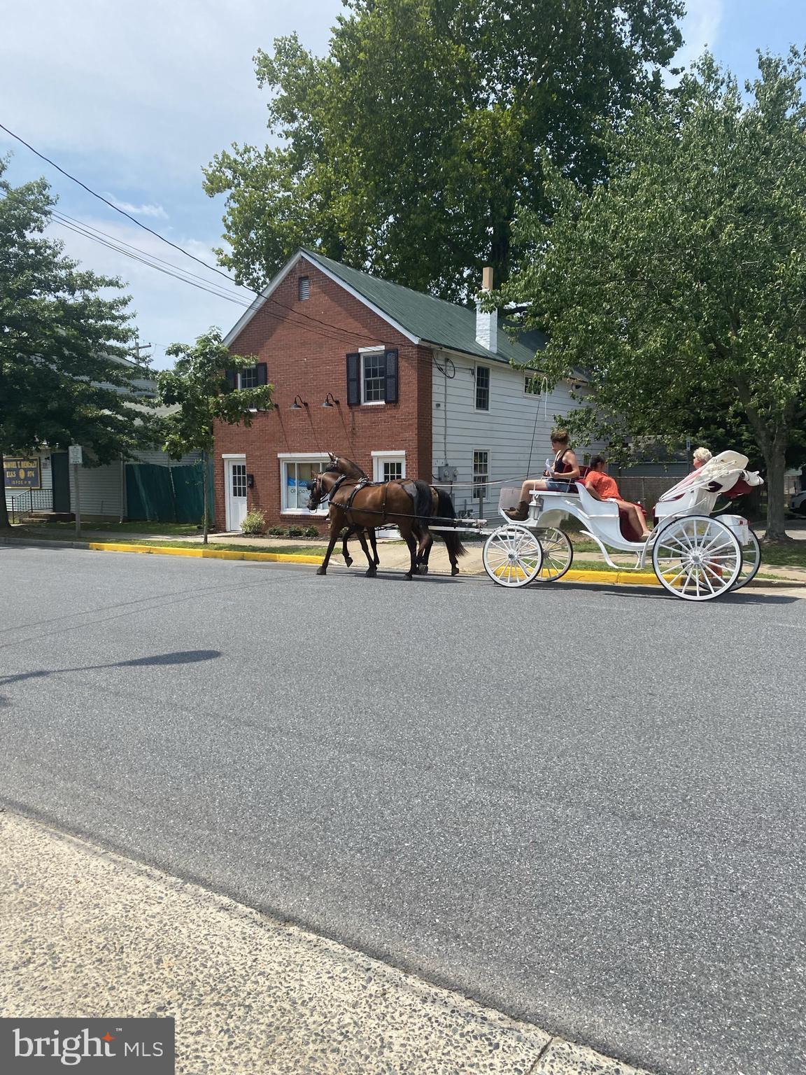 CALVERT TERRACE - Residential
