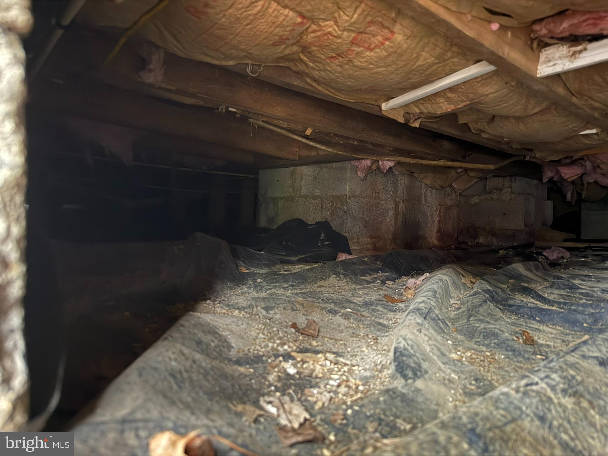 CALVERT TERRACE - Residential