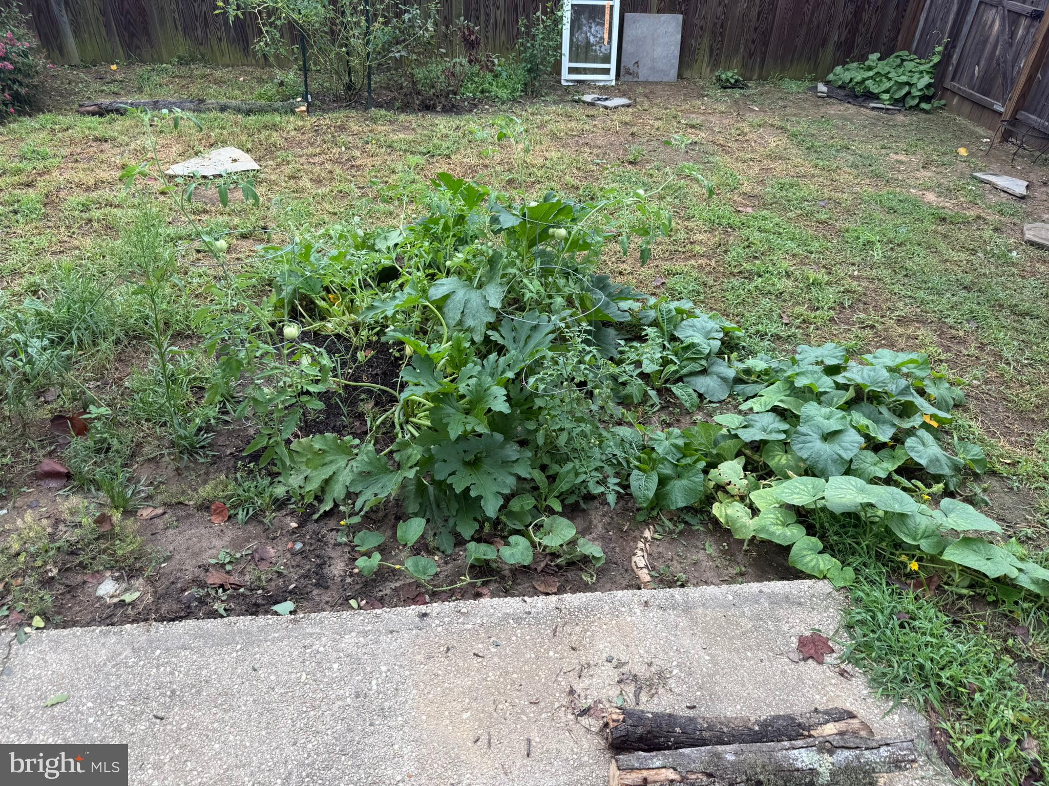 CALVERT TERRACE - Residential