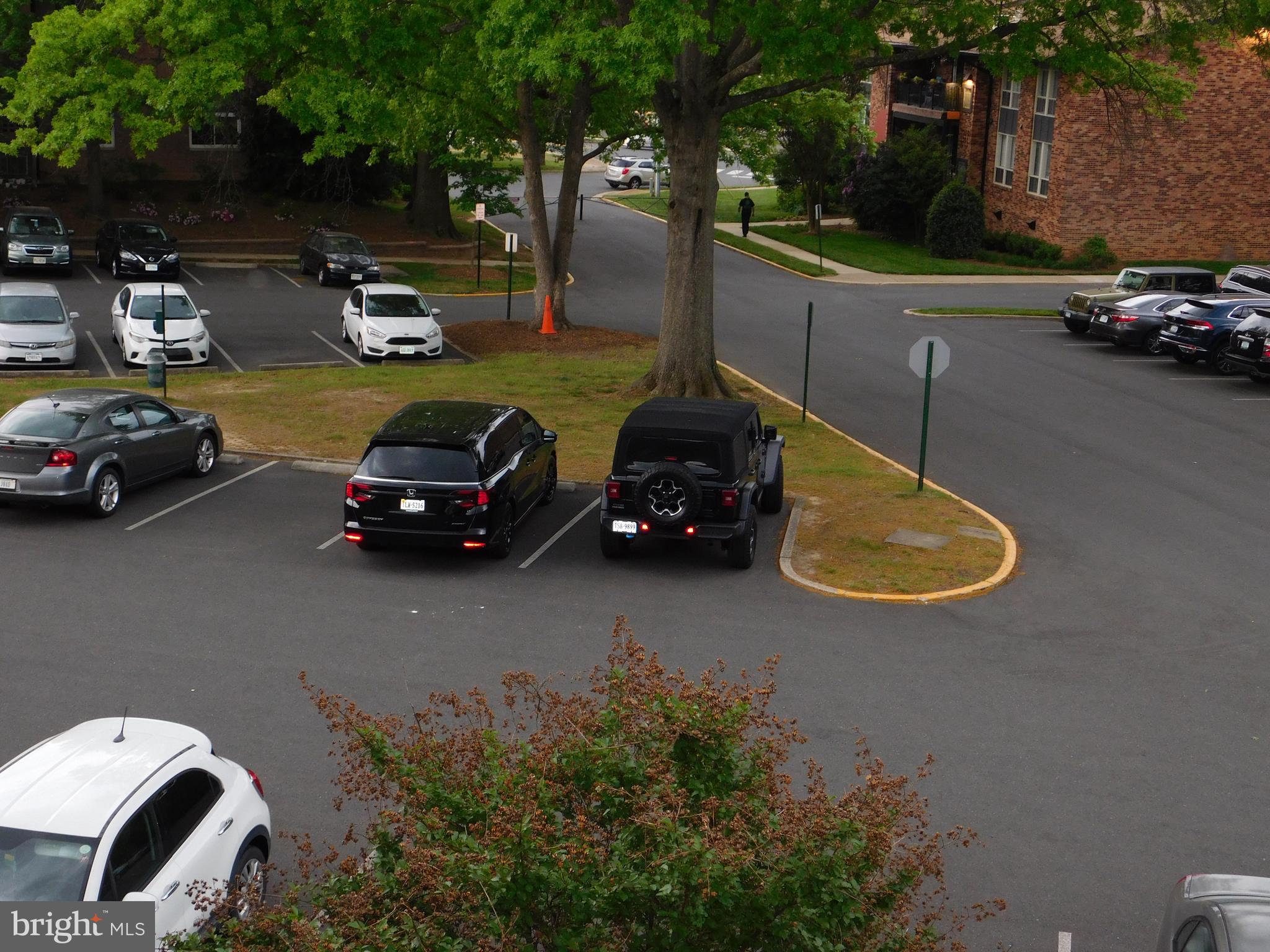 PARK TERRACE - Residential Lease