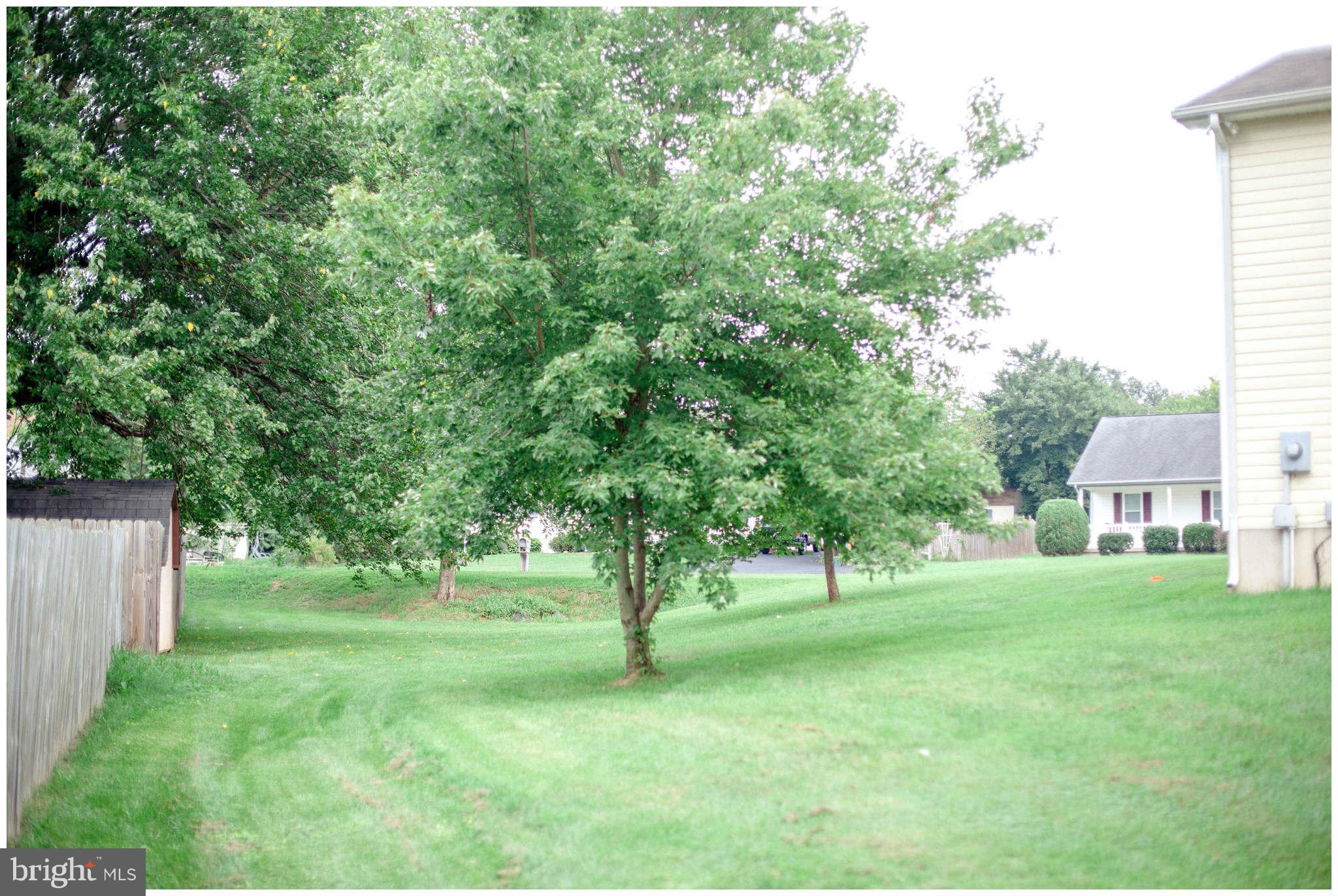 GRAFTON VILLAGE - Residential