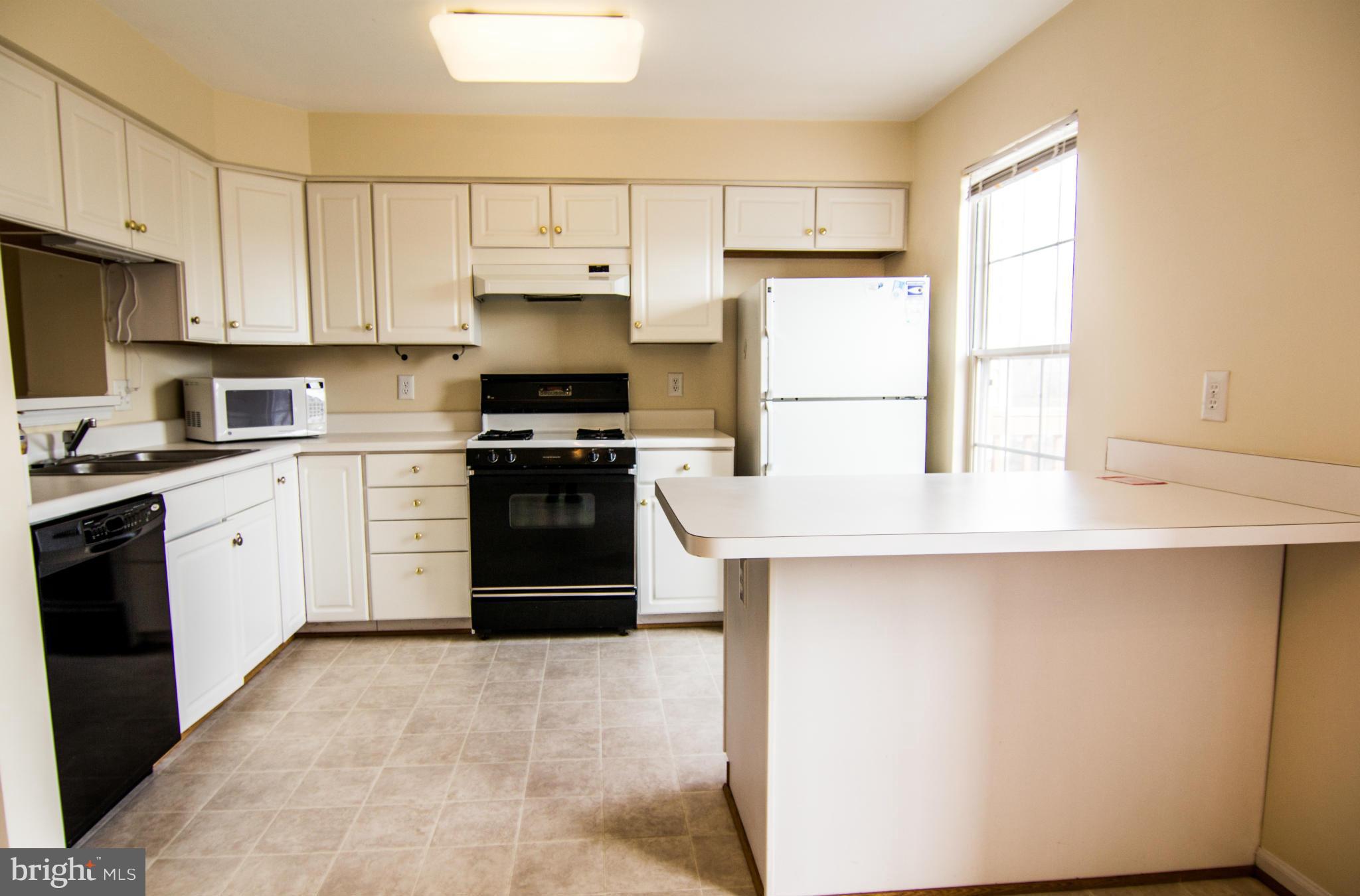 ASHBURN VILLAGE - Residential