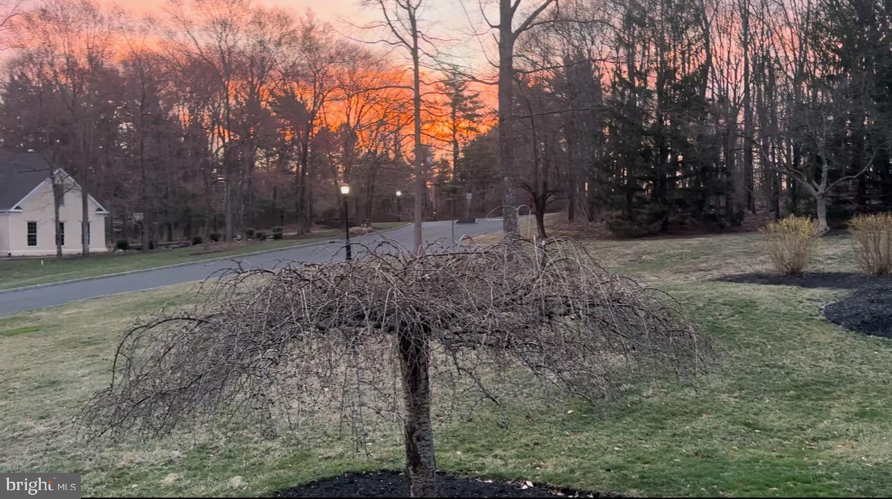 KINGSWOODS - Residential