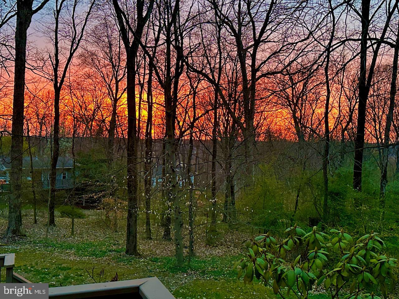 KINGSWOODS - Residential