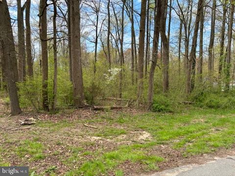 Vacant Land For Sale - 194 Grays Lane<br/> MAGNOLIA, DE 19962