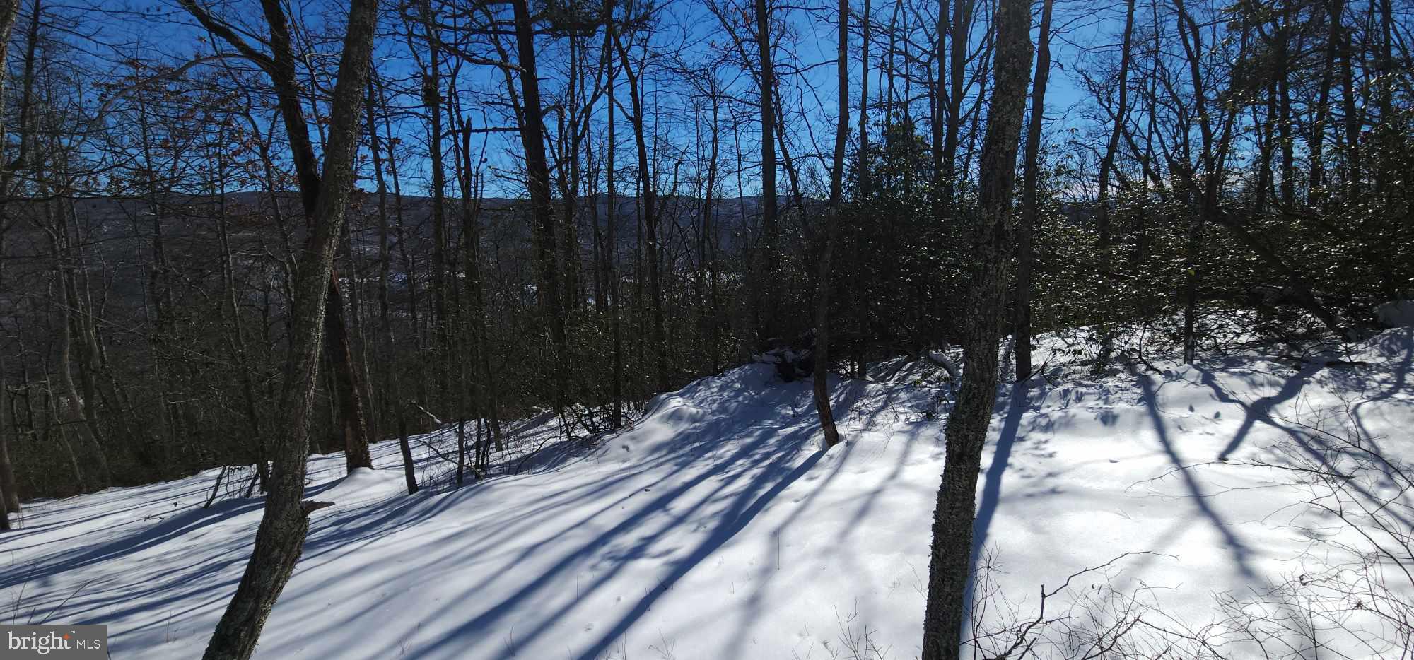 These breath-taking views are just waiting for you to build your dream home so you can sit on your porch and TAKE IT ALL IN! Whether you're enjoying the abundance amount of wildlife or the peacefulness and tranquility; this peace of land checks all those boxes. 5 acres of beautiful 4 season surroundings...is this one the one for you?