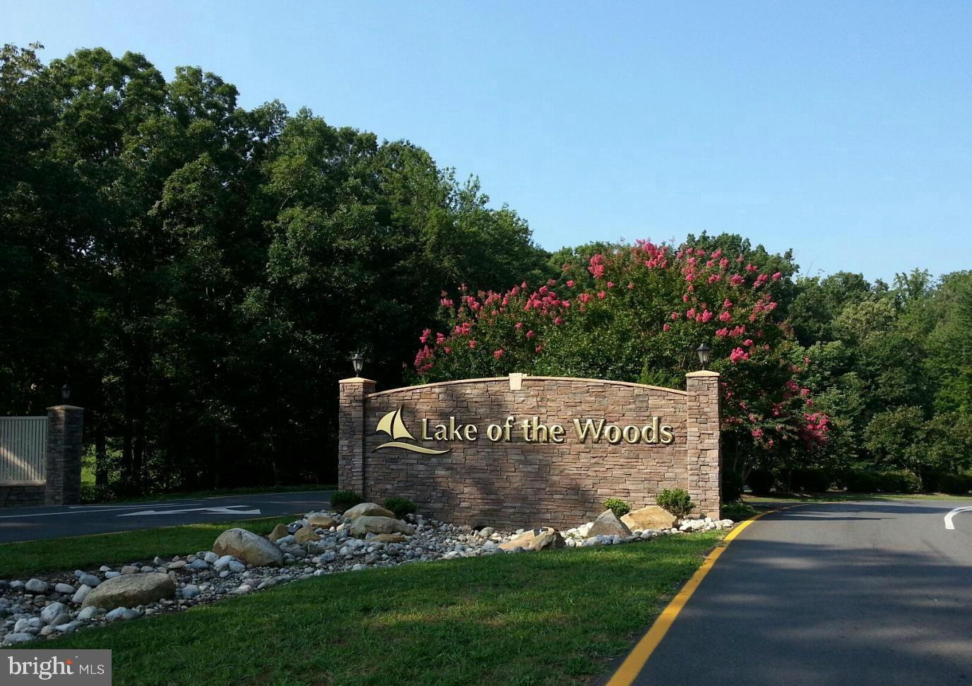 LAKE OF THE WOODS - Residential