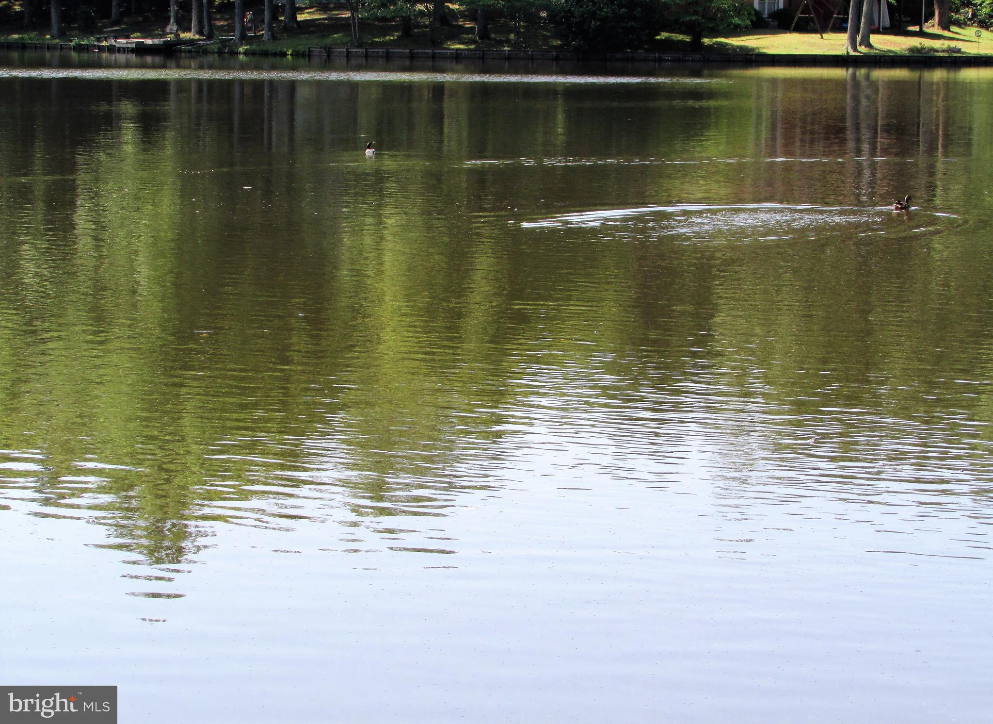 LAKE OF THE WOODS - Residential