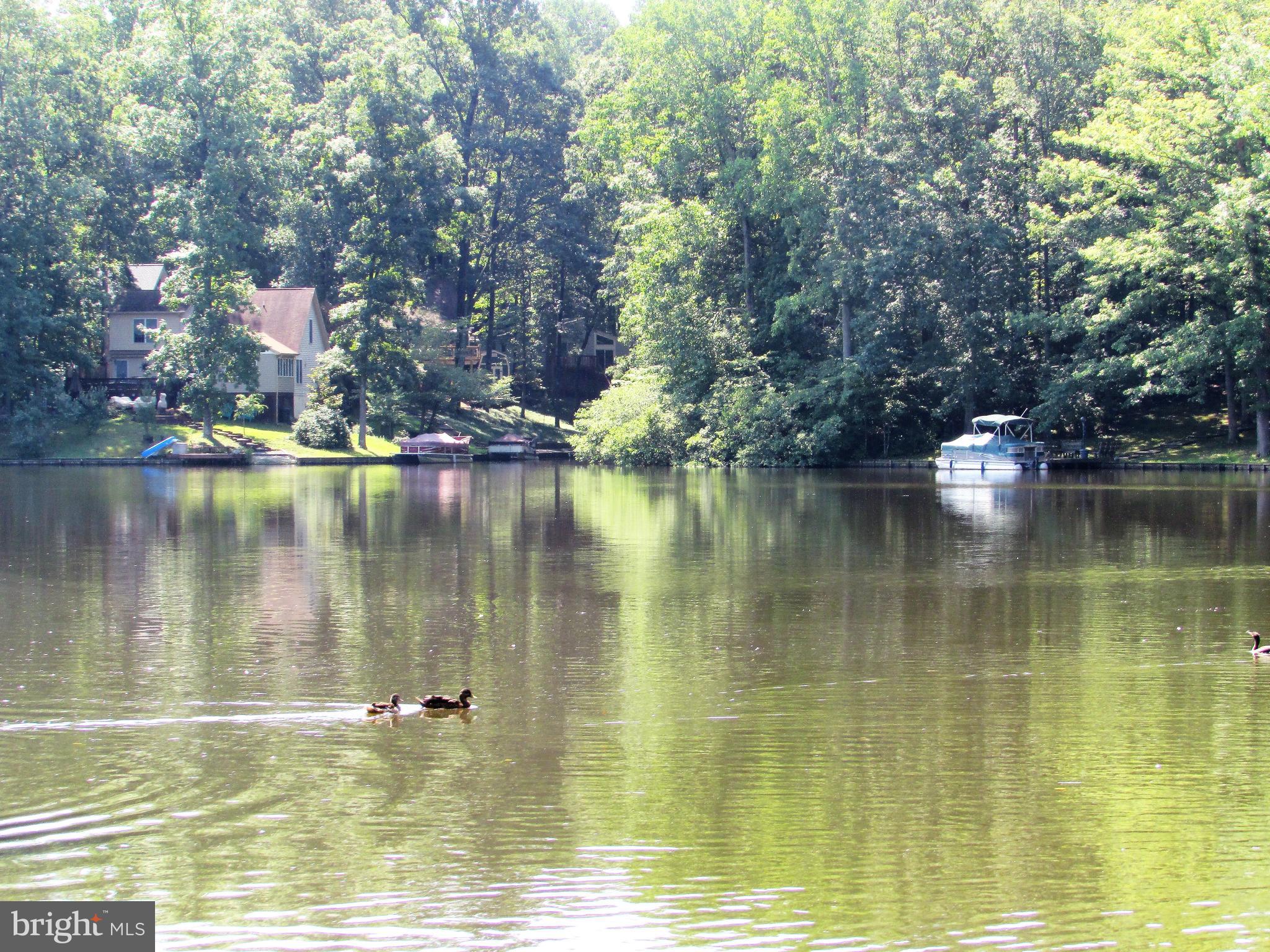 LAKE OF THE WOODS - Residential