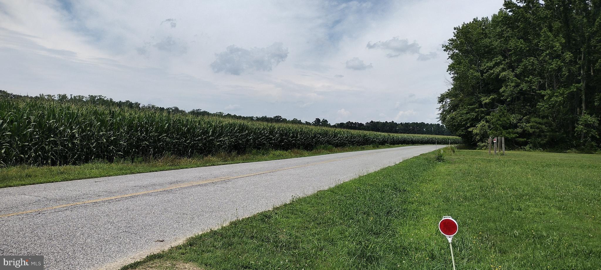 8403 MENNONITE CHURCH ROAD