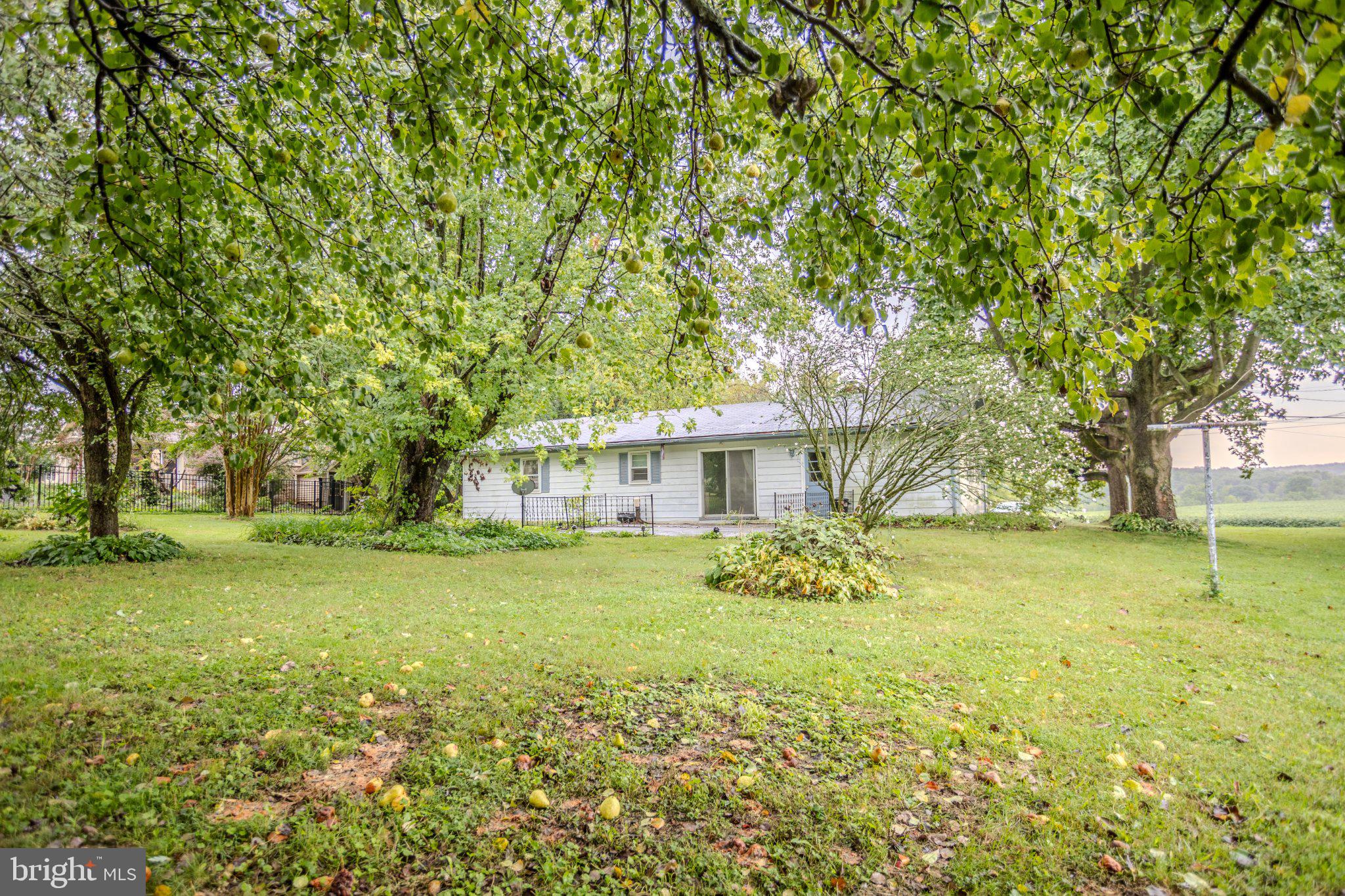 60 PINE GROVE ROAD