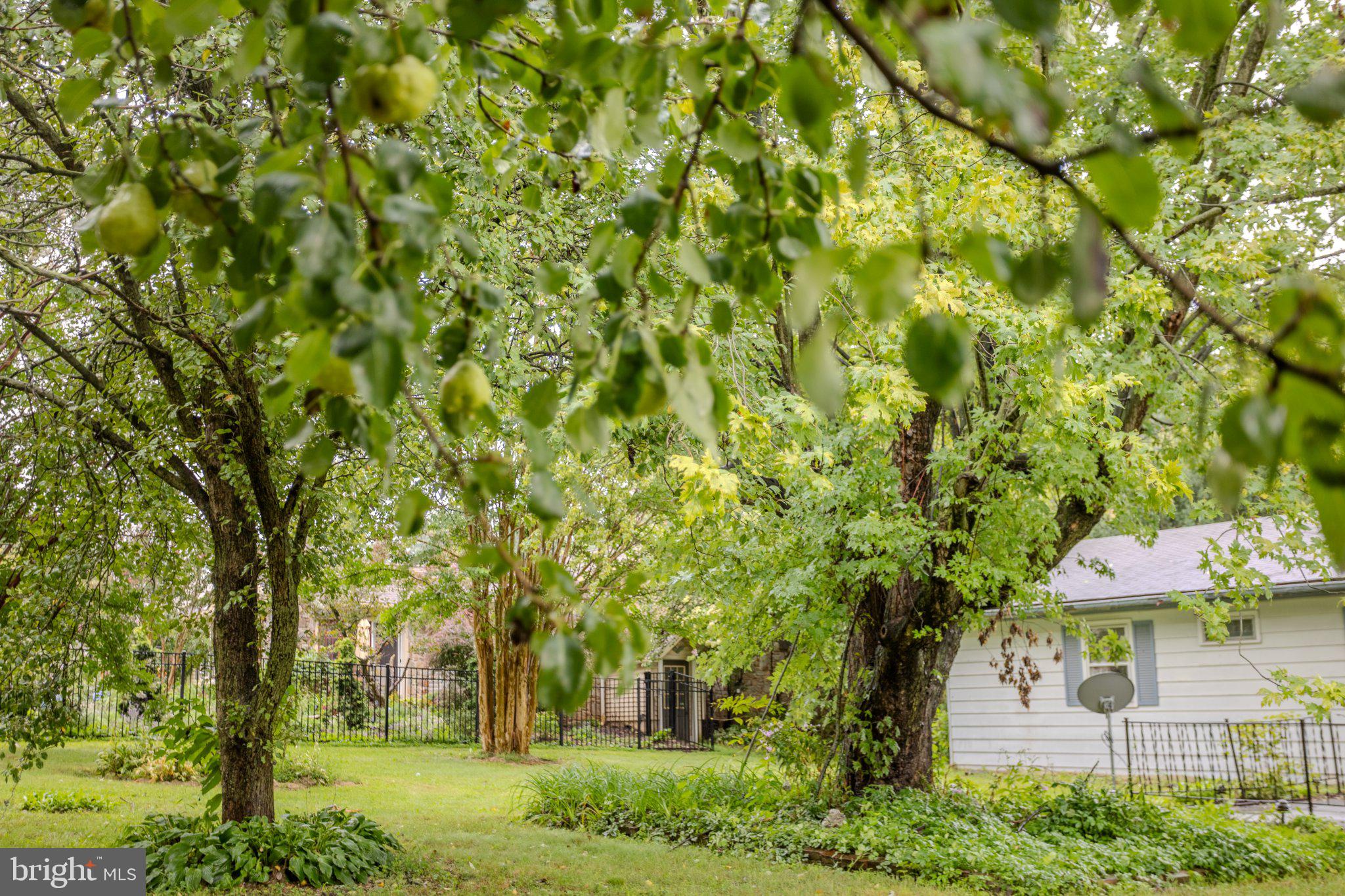 60 PINE GROVE ROAD