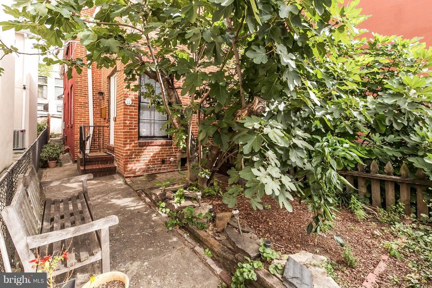 AMAZING PRICE, AMAZING LOCATION! Historic Charmer! Set far off sidewalk, the flowering fig tree encompasses a quaint front patio. Entry opens to living room, dining room & kitchen w/ door to rear patio. 2nd flr has space for sitting area/office, bedroom w/skylights, walk-in closet, laundry & full bath. Exposed beams & decorative fireplaces add tons of character. Waterproofed basement for storage