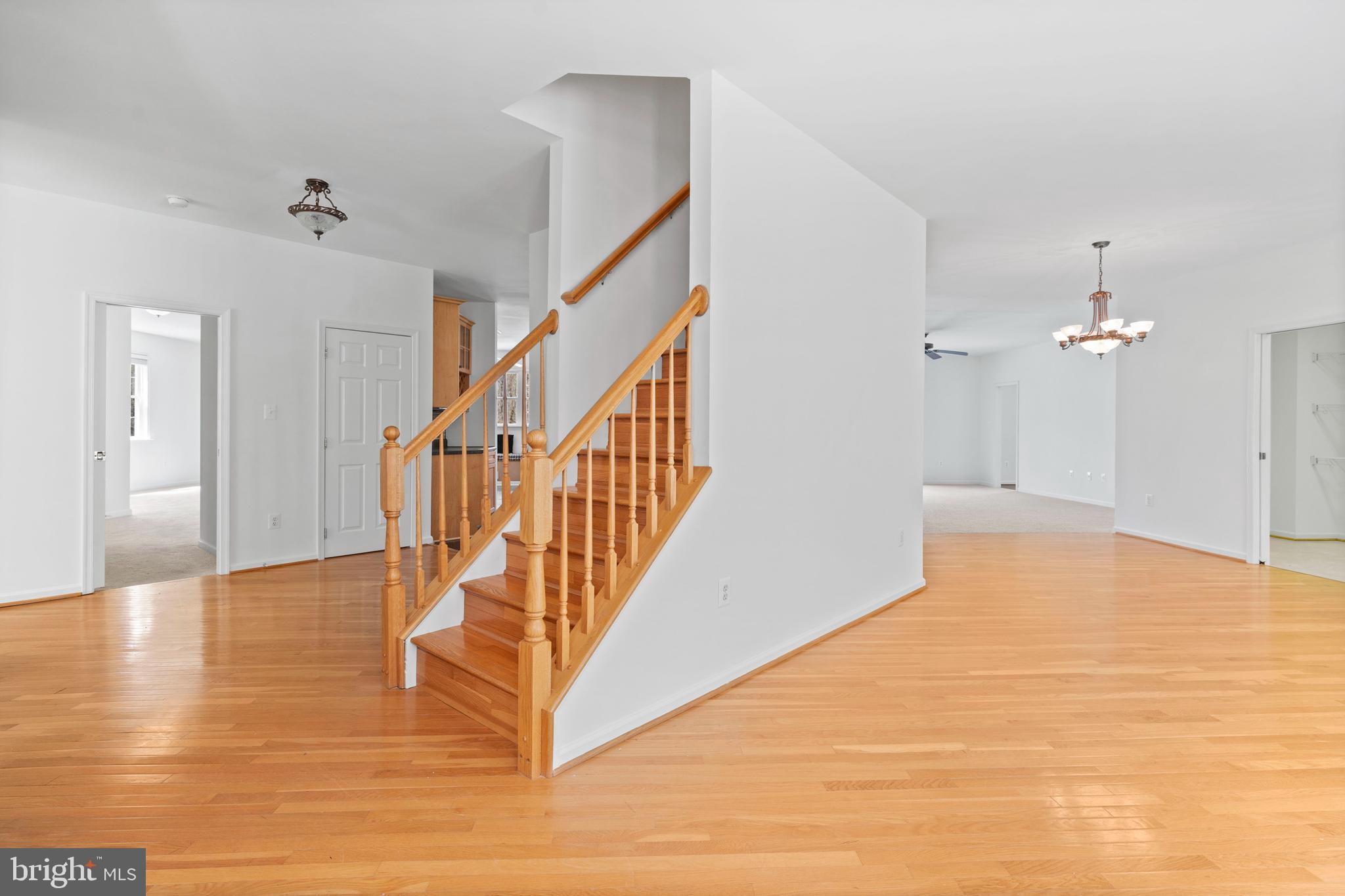 CHESTNUT HILLS - Residential