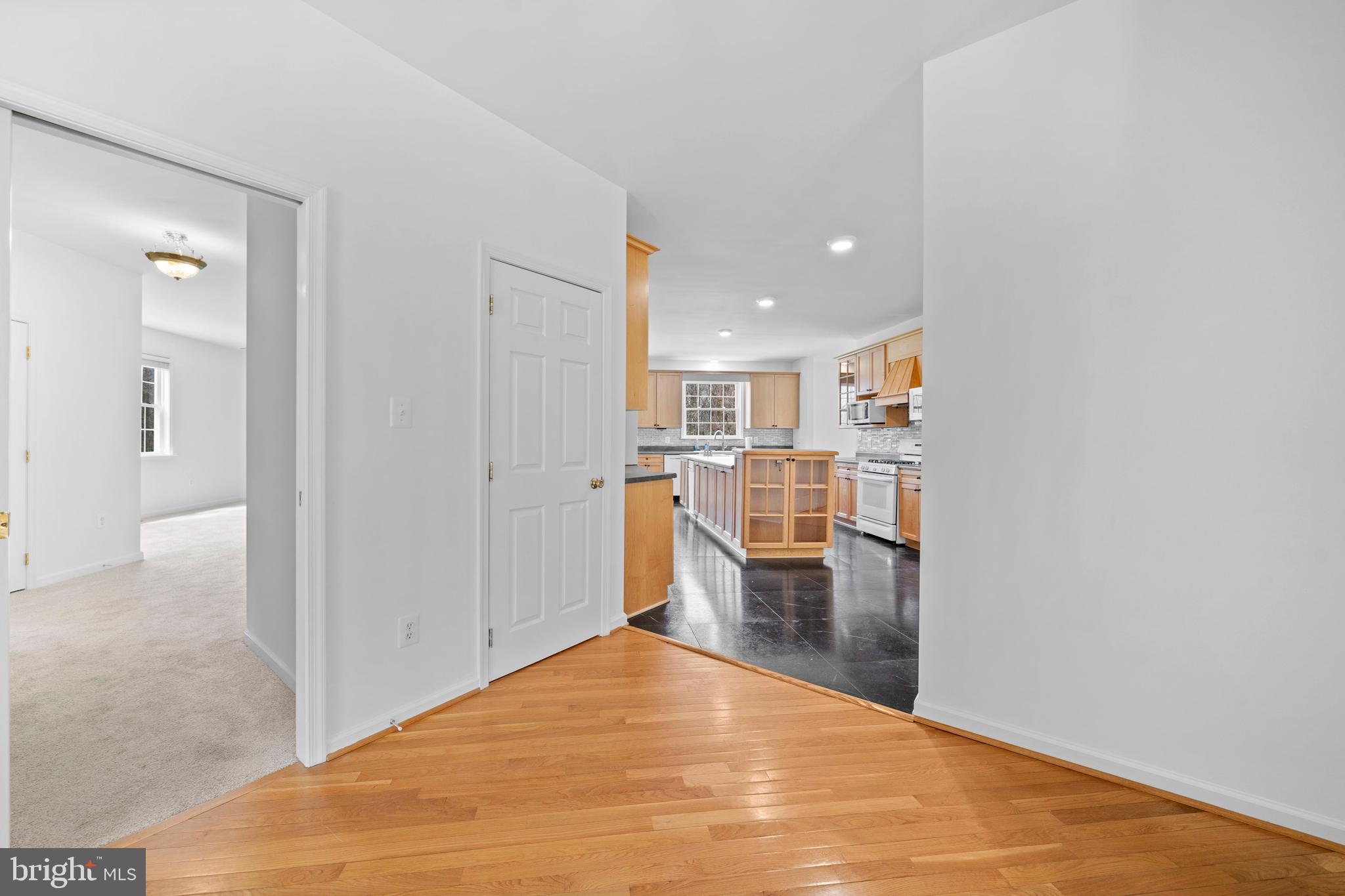 CHESTNUT HILLS - Residential