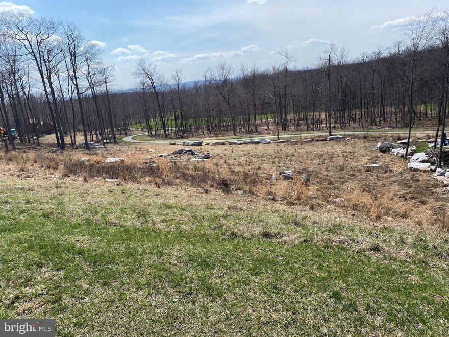 Discover the perfect setting for your dream mountain retreat with Lots 42 & 43—a rare double-lot opportunity in the prestigious Biltmore community at Deep Creek Lake. Overlooking the scenic Lodestone Golf Course and nestled between two stunning custom homes, these lots offer privacy, paved road access, and sweeping mountain and fairway views. Whether you're envisioning a private family compound or a high-demand vacation rental, this location delivers. Just minutes from Deep Creek Lake, Wisp Resort, Swallow Falls, Fork Run, ASCI Whitewater Park, shopping, dining, and more—everything you need is close by. Embrace the tranquility of mountaintop living while staying connected to every convenience. Don't miss out—bring your vision to life in one of Deep Creek's most desirable communities.