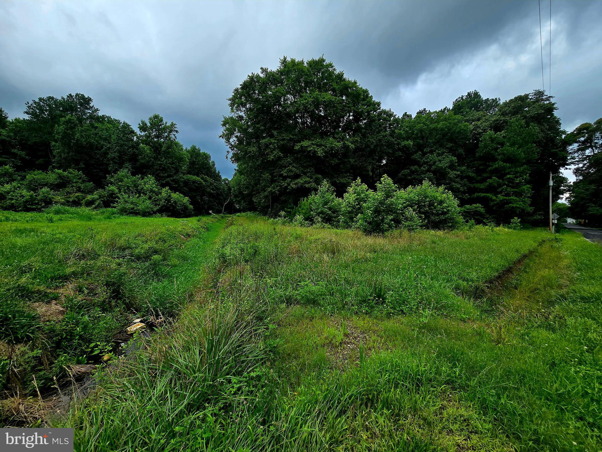 LOT 1 WHITNEY SWAMP ROAD
