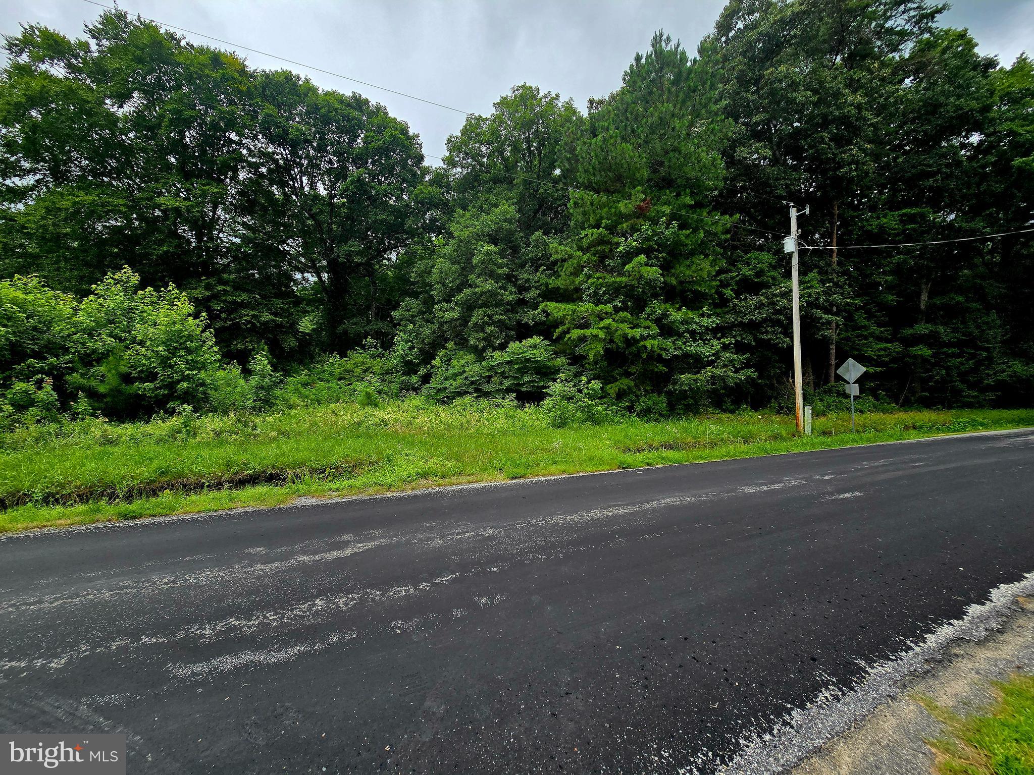 LOT 1 WHITNEY SWAMP ROAD