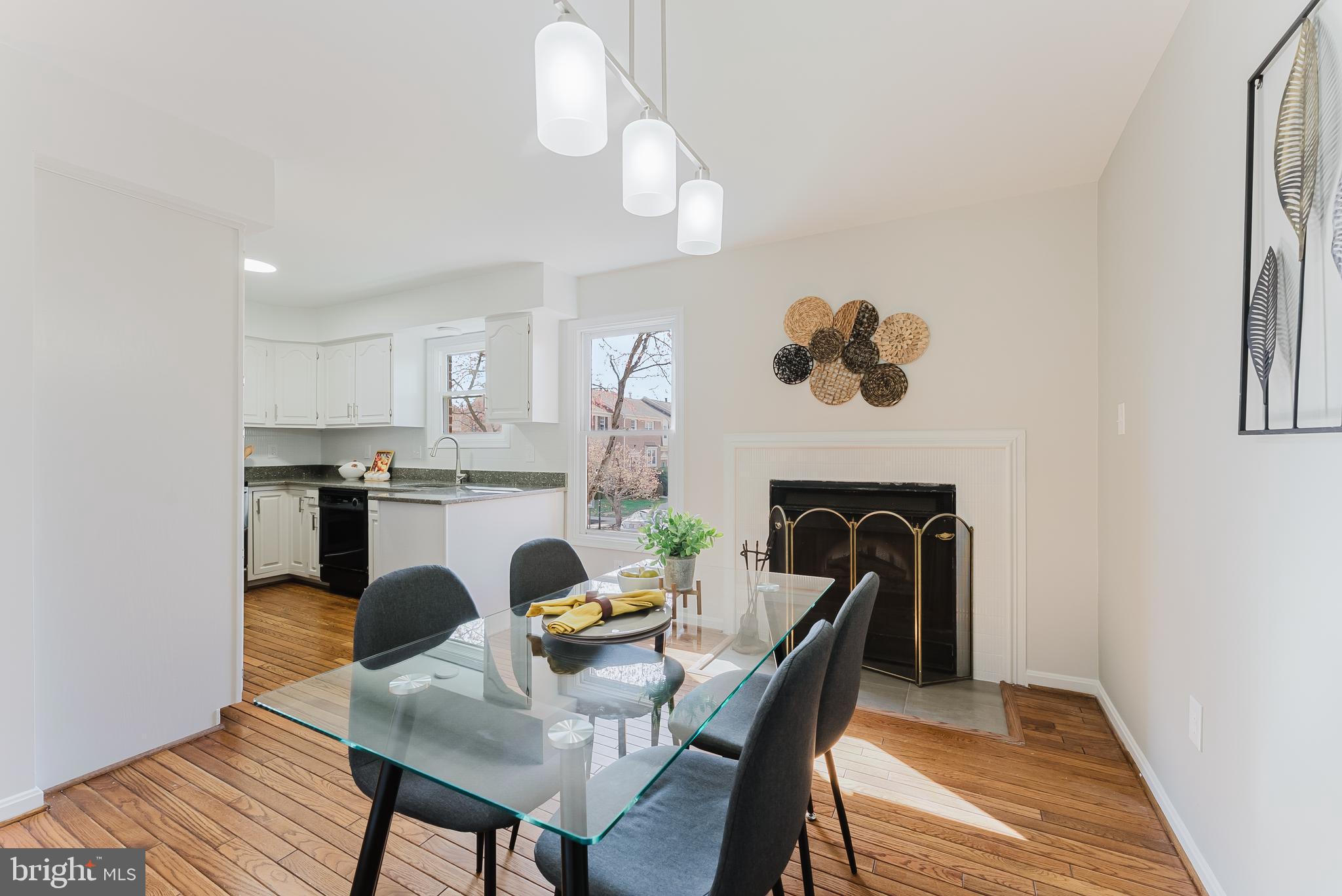 OAKTON  VILLAGE - Residential