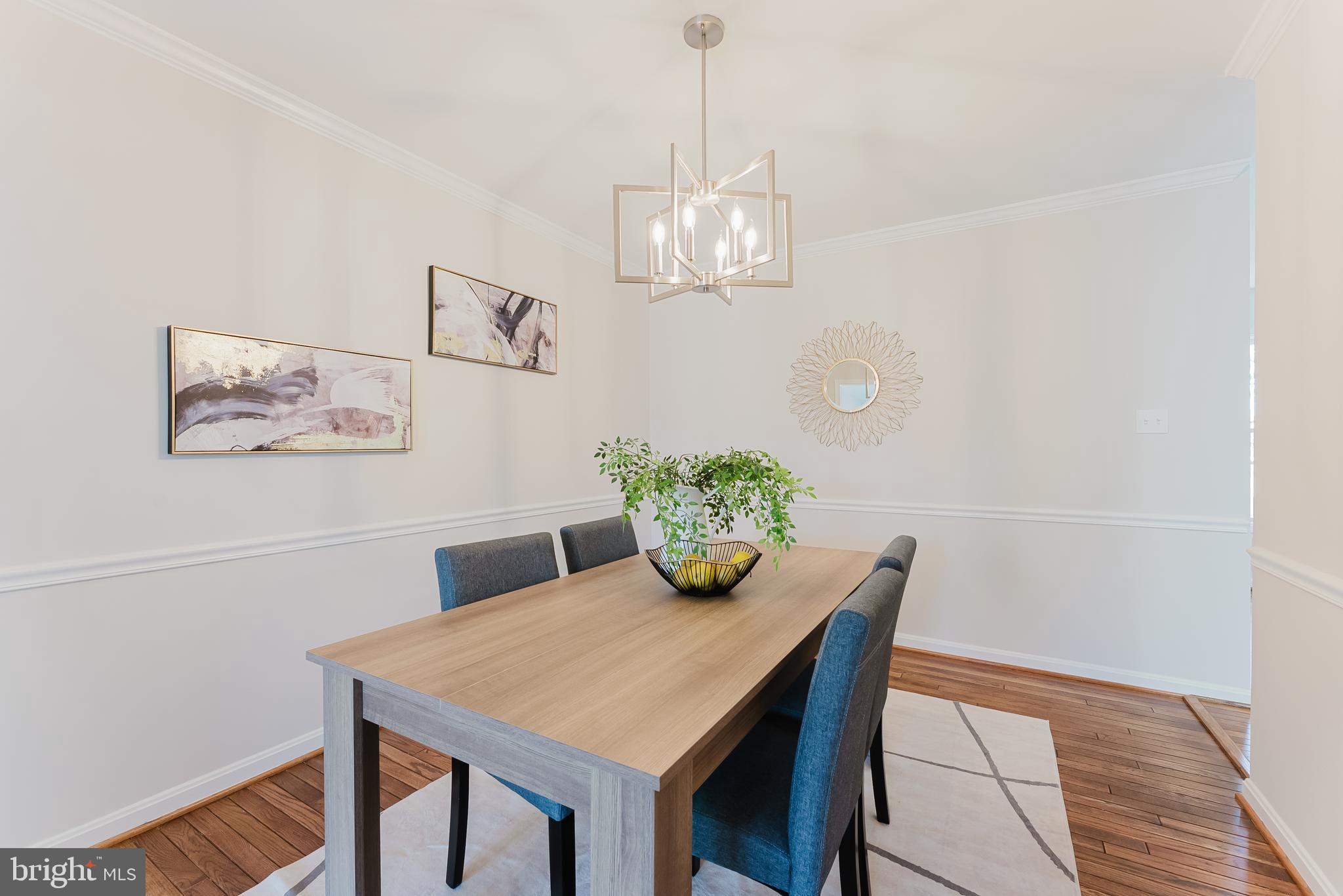 OAKTON  VILLAGE - Residential