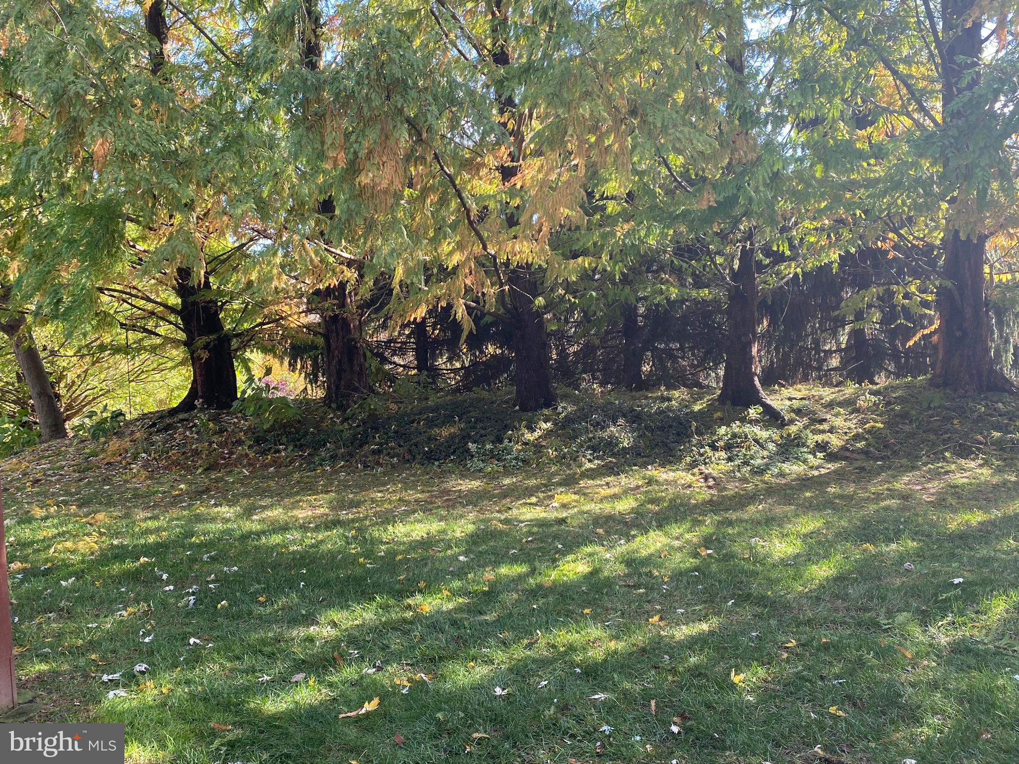 EQUINE MEADOWS - Residential