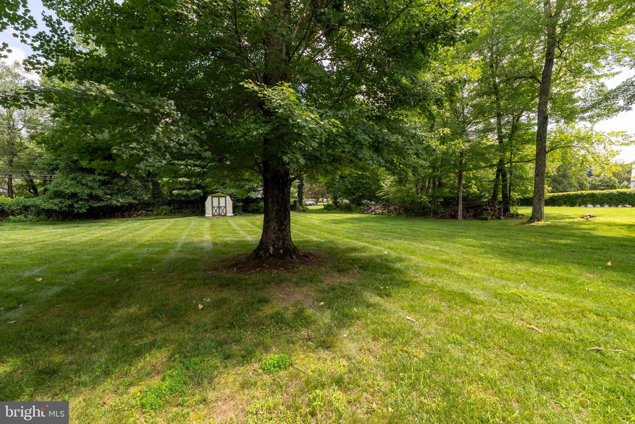 SPRINGFIELD - Residential