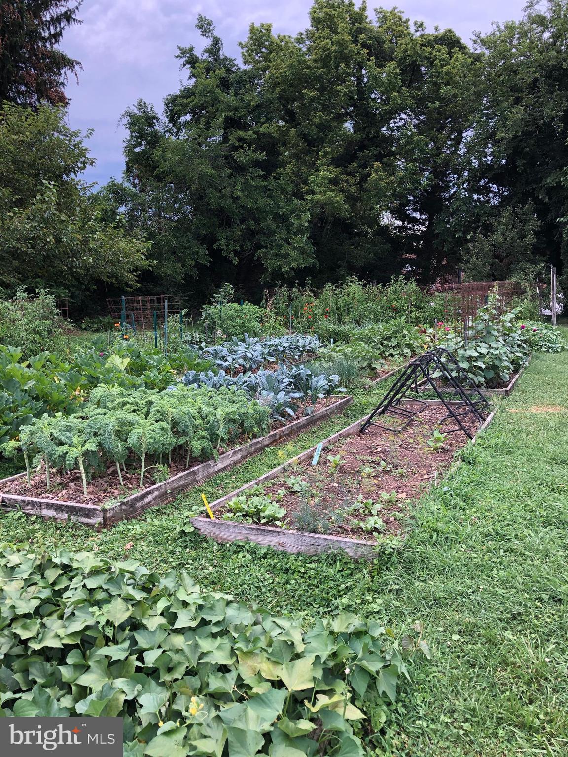 RADNOR WINSTON - Residential