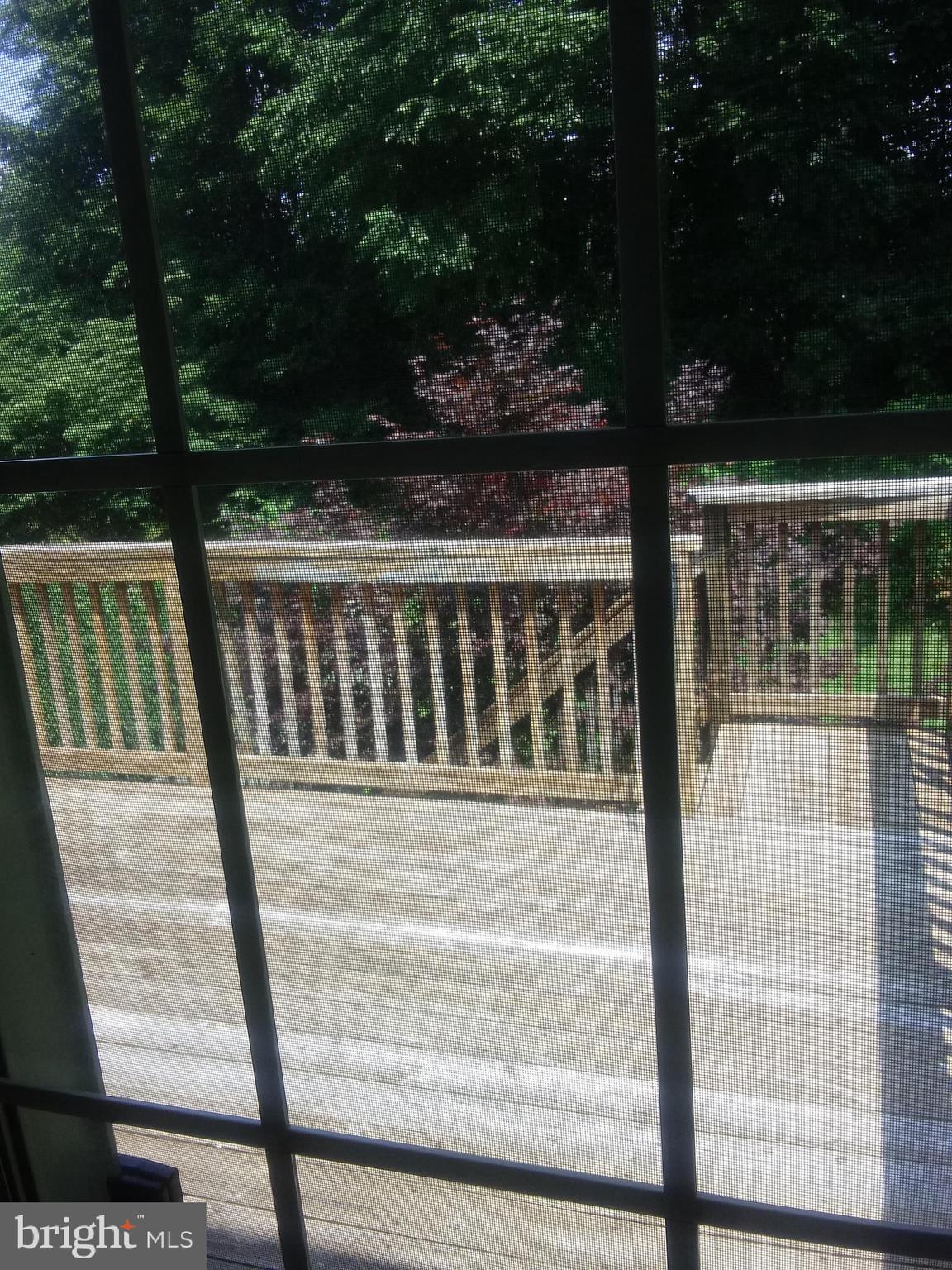 CONSTANT FRIENDSHIP - Residential