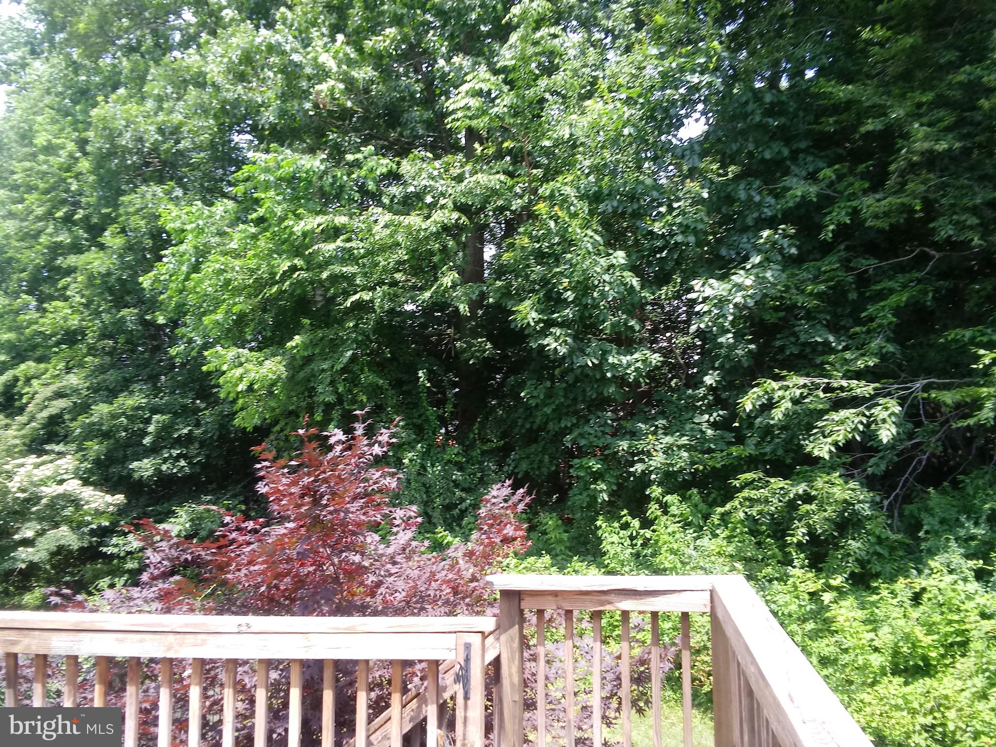 CONSTANT FRIENDSHIP - Residential