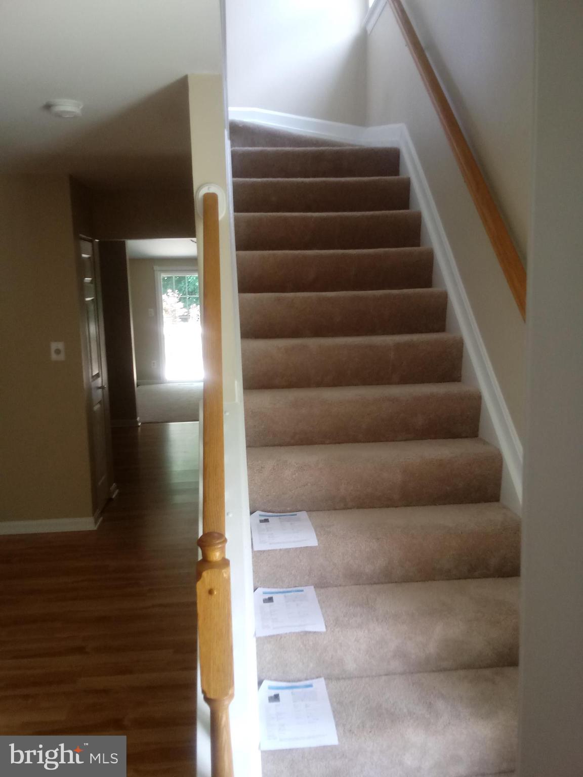 CONSTANT FRIENDSHIP - Residential