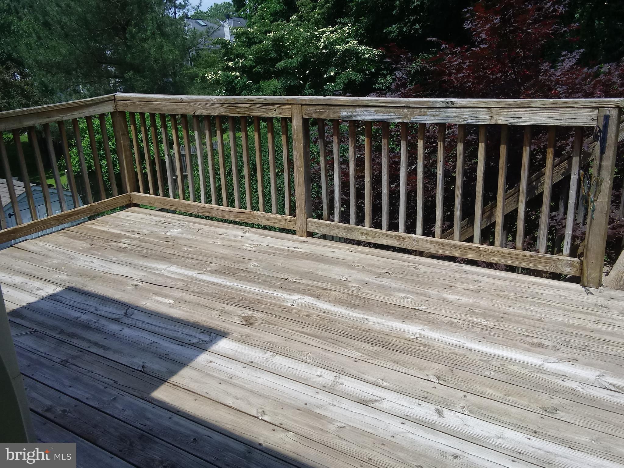 CONSTANT FRIENDSHIP - Residential