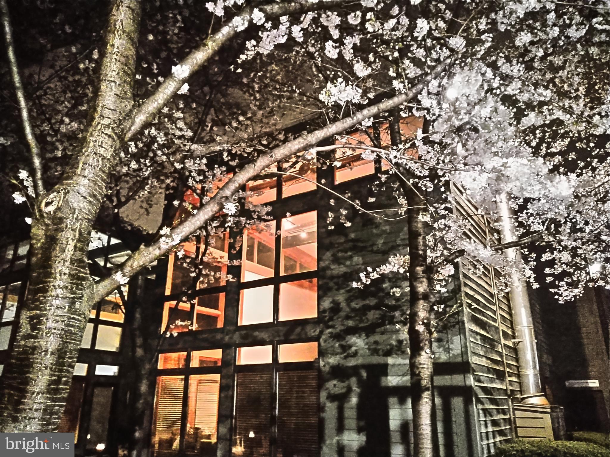 RIDGELY'S DELIGHT - Residential