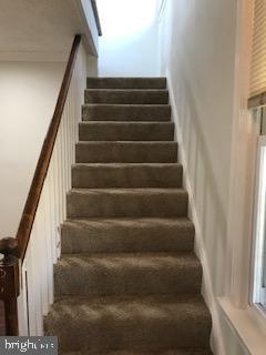 DOLFIELD - Residential Lease