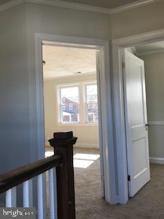 DOLFIELD - Residential Lease