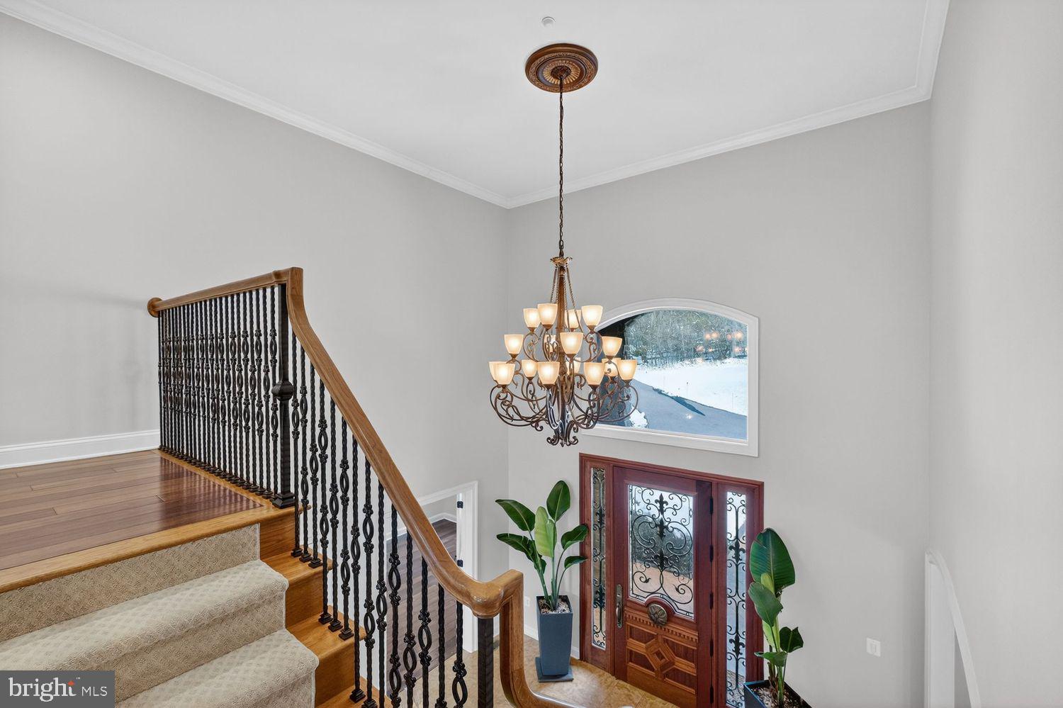 EDINBURGH FOREST - Residential