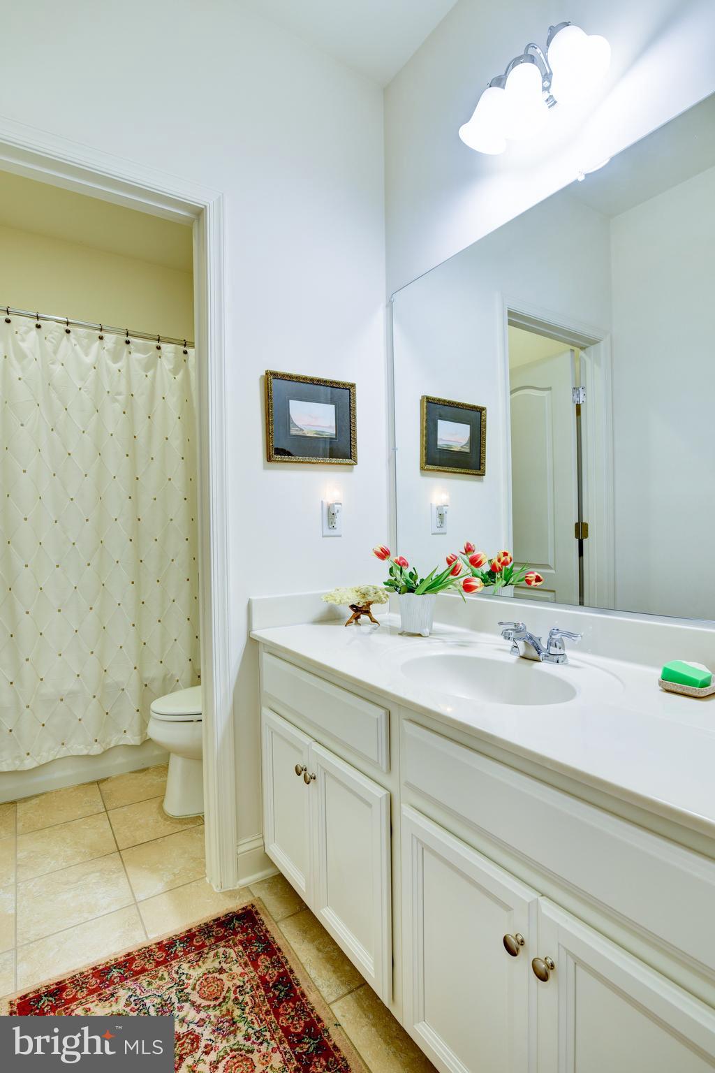 SPRINGS AT LENAH - Residential