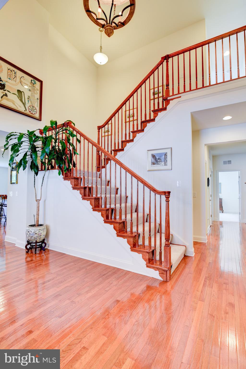 SPRINGS AT LENAH - Residential