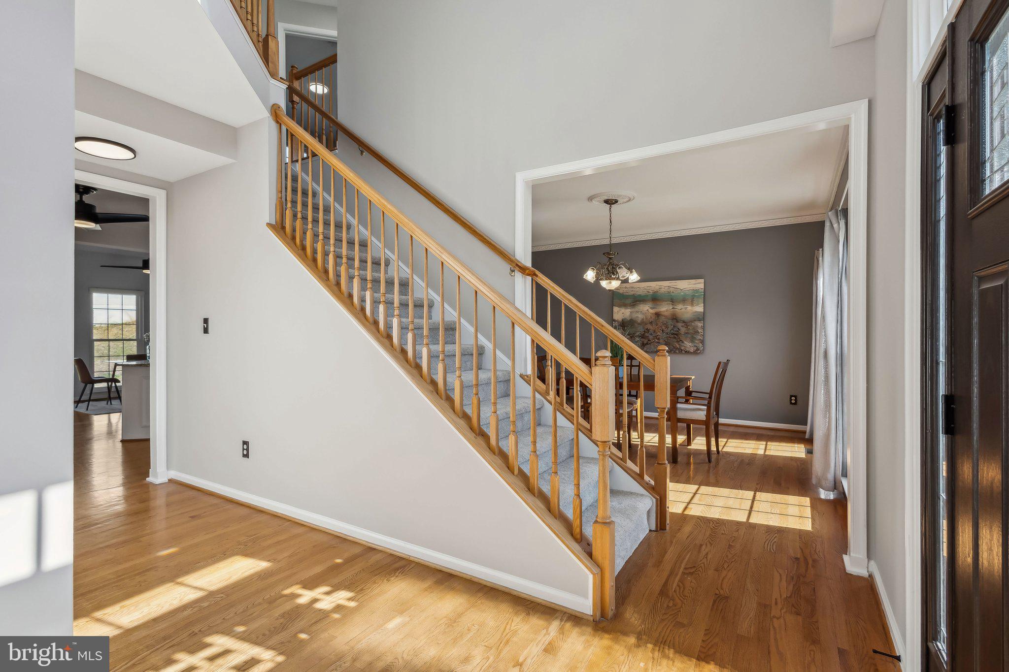 STAFFORD LAKES VILLAGE - Residential