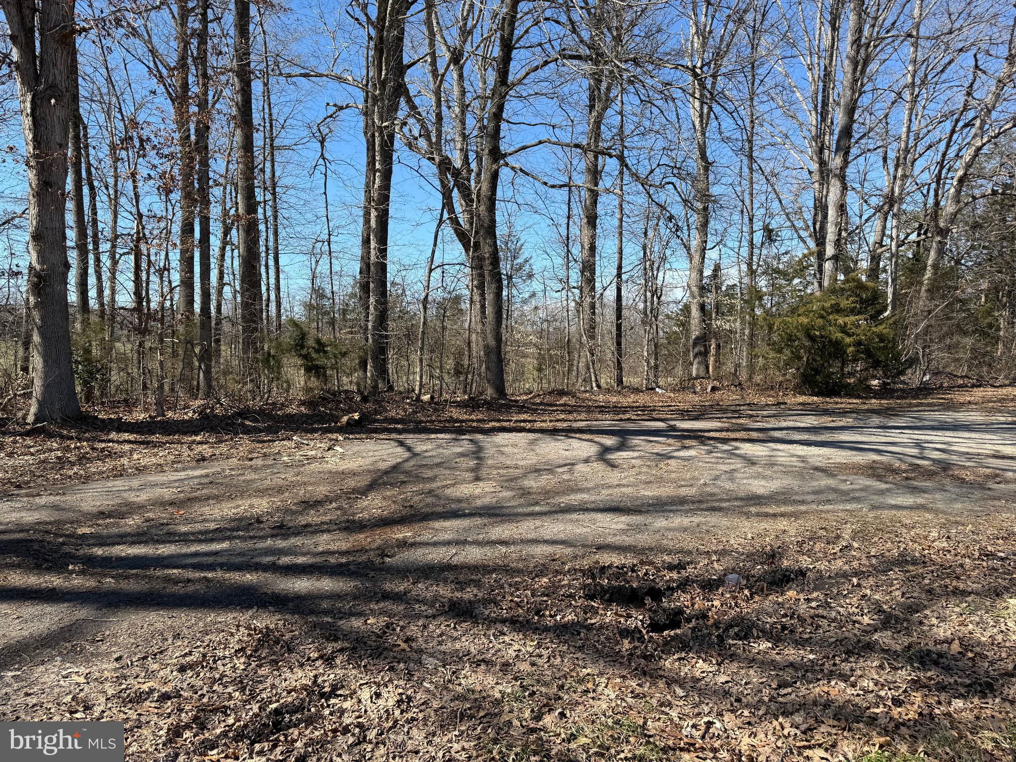 Lot 2A & 4 ZACHARY TAYLOR HIGHWAY