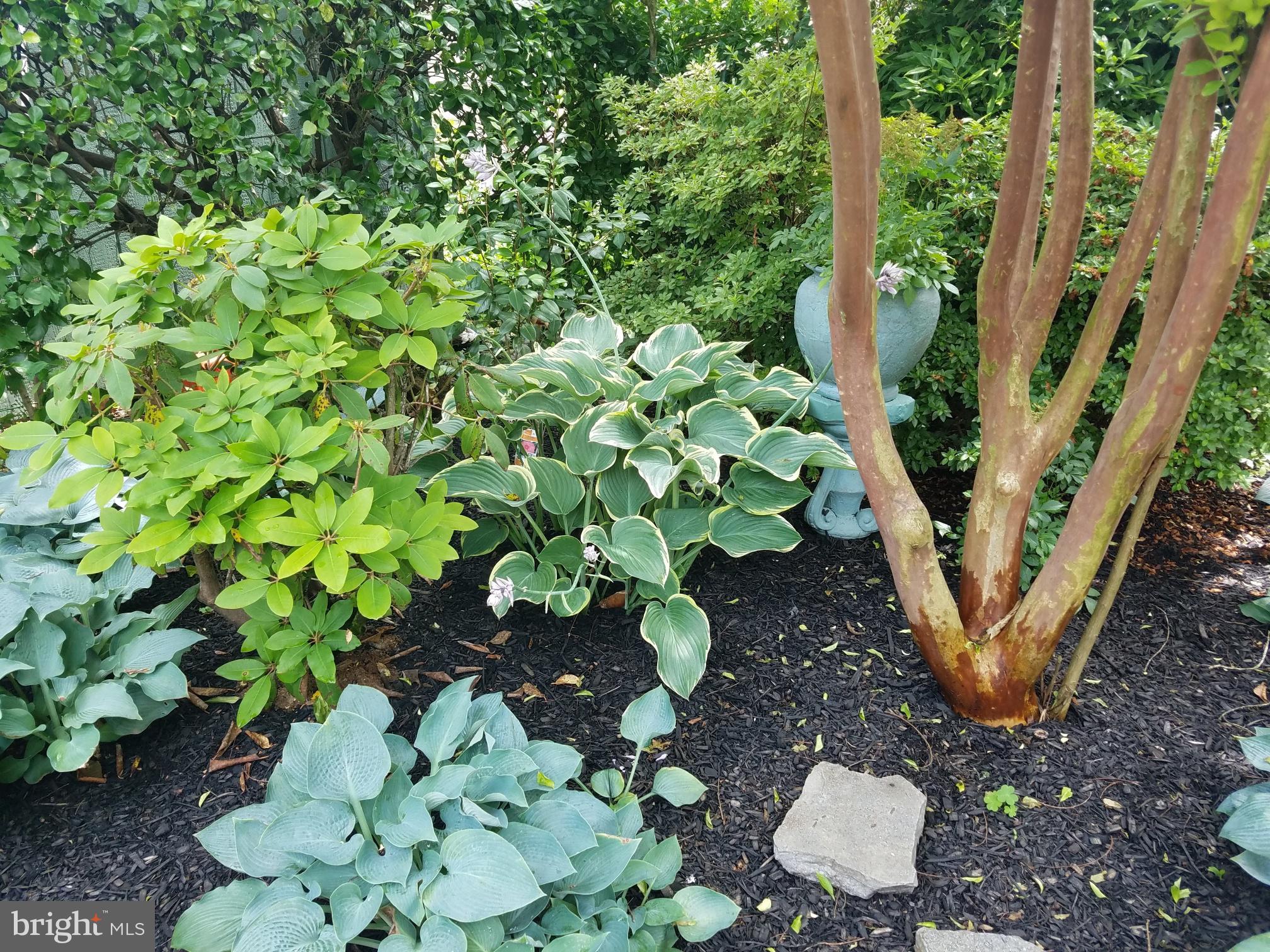 STONELEIGH - Residential