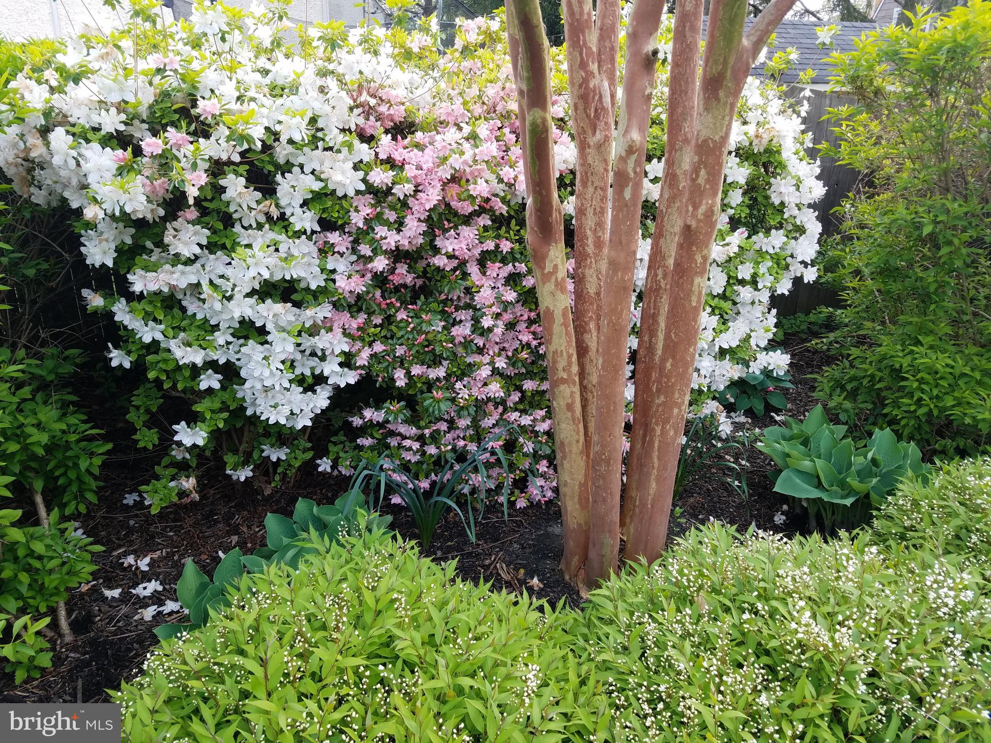 STONELEIGH - Residential